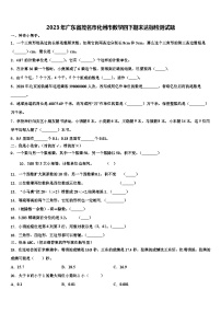 2023年广东省茂名市化州市数学四下期末达标检测试题含解析