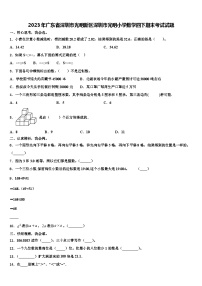 2023年广东省深圳市光明新区深圳市光明小学数学四下期末考试试题含解析