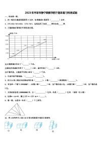 2023年平凉市静宁县数学四下期末复习检测试题含解析