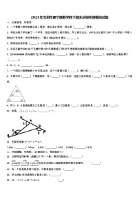 2023年沧州市肃宁县数学四下期末达标检测模拟试题含解析