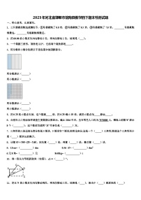 2023年河北省邯郸市馆陶县数学四下期末检测试题含解析