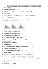 2023年湖北省恩施土家族苗族自治州恩施市数学四下期末检测试题含解析