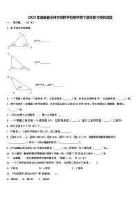 2023年湖南省永州市剑桥学校数学四下期末复习检测试题含解析