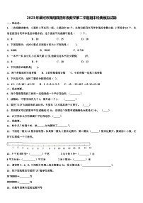 2023年漯河市舞阳县四年级数学第二学期期末经典模拟试题含解析