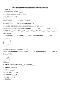 2023年湖南省郴州市数学四下期末学业水平测试模拟试题含解析