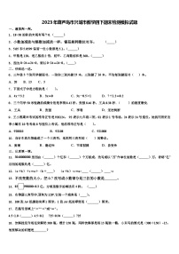 2023年葫芦岛市兴城市数学四下期末检测模拟试题含解析