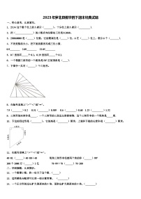 2023年萝北县数学四下期末经典试题含解析