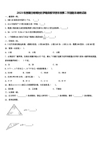 2023年西藏日喀则地区萨嘎县数学四年级第二学期期末调研试题含解析