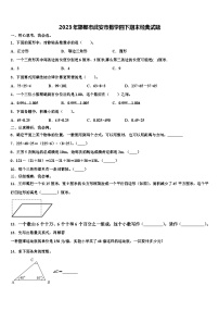 2023年邯郸市武安市数学四下期末经典试题含解析