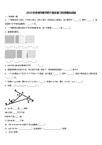 2023年连州市数学四下期末复习检测模拟试题含解析