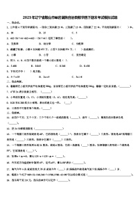 2023年辽宁省鞍山市岫岩满族自治县数学四下期末考试模拟试题含解析