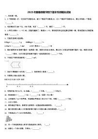 2023年鄯善县数学四下期末检测模拟试题含解析