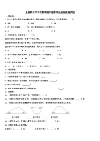 上林县2023年数学四下期末学业质量监测试题含解析