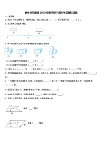 丽水市松阳县2023年数学四下期末考试模拟试题含解析