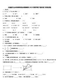 云南省文山壮族苗族自治州西畴县2023年数学四下期末复习检测试题含解析