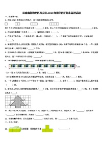 云南省临沧地区凤庆县2023年数学四下期末监测试题含解析