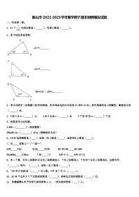 保山市2022-2023学年数学四下期末调研模拟试题含解析