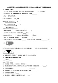 吉林省长春汽车经济技术开发区第一小学2023年数学四下期末调研试题含解析