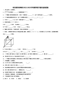 哈尔滨市延寿县2022-2023学年数学四下期末监测试题含解析