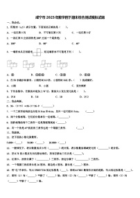 咸宁市2023年数学四下期末综合测试模拟试题含解析