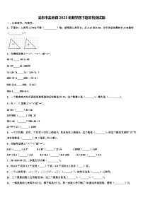 吴忠市盐池县2023年数学四下期末检测试题含解析