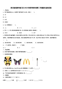 四川省成都市锦江区2023年数学四年级第二学期期末监测试题含解析