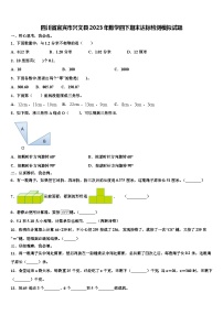 四川省宜宾市兴文县2023年数学四下期末达标检测模拟试题含解析