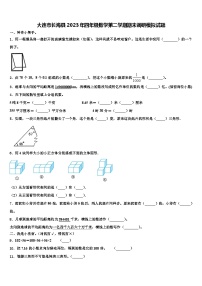 大连市长海县2023年四年级数学第二学期期末调研模拟试题含解析