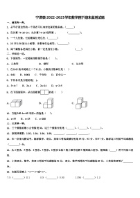 宁津县2022-2023学年数学四下期末监测试题含解析