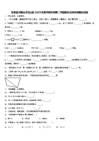 安徽省马鞍山市花山区2023年数学四年级第二学期期末达标检测模拟试题含解析