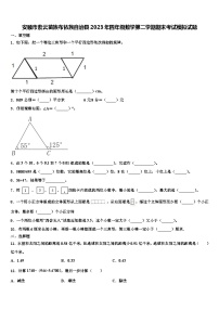 安顺市紫云苗族布依族自治县2023年四年级数学第二学期期末考试模拟试题含解析