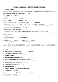 广西玉林市兴业县2023年数学四下期末复习检测试题含解析