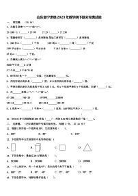 山东省宁津县2023年数学四下期末经典试题含解析