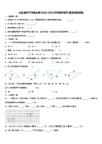 山东省济宁市鱼台县2022-2023学年数学四下期末预测试题含解析