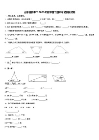 山东省新泰市2023年数学四下期末考试模拟试题含解析