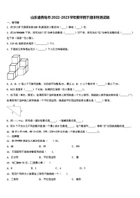 山东省青岛市2022-2023学年数学四下期末检测试题含解析