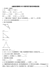 山南地区错那县2023年数学四下期末统考模拟试题含解析