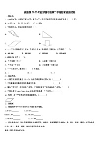 崇阳县2023年数学四年级第二学期期末监测试题含解析