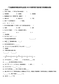 广东省惠州市惠东县平山街道2023年数学四下期末复习检测模拟试题含解析