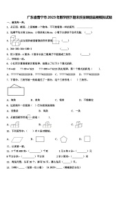 广东省普宁市2023年数学四下期末质量跟踪监视模拟试题含解析