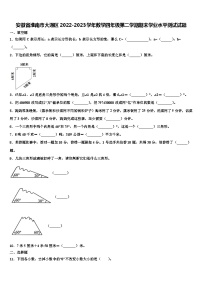 安徽省淮南市大通区2022-2023学年数学四年级第二学期期末学业水平测试试题含解析