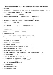 山东省青岛市西海岸新区2022-2023学年数学四下期末学业水平测试模拟试题含解析