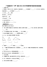 广东省陆丰市“三甲”地区2022-2023学年数学四下期末综合测试试题含解析