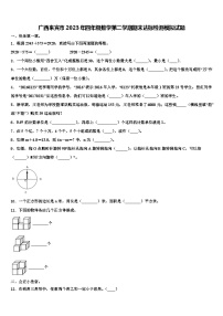 广西来宾市2023年四年级数学第二学期期末达标检测模拟试题含解析