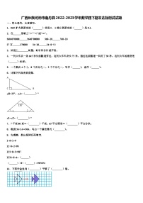 广西壮族河池市南丹县2022-2023学年数学四下期末达标测试试题含解析