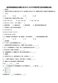 德宏傣族景颇族自治州盈江县2022-2023学年数学四下期末调研模拟试题含解析