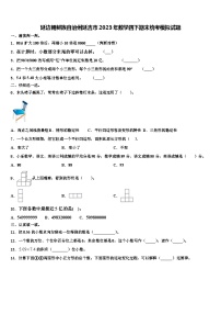 延边朝鲜族自治州延吉市2023年数学四下期末统考模拟试题含解析