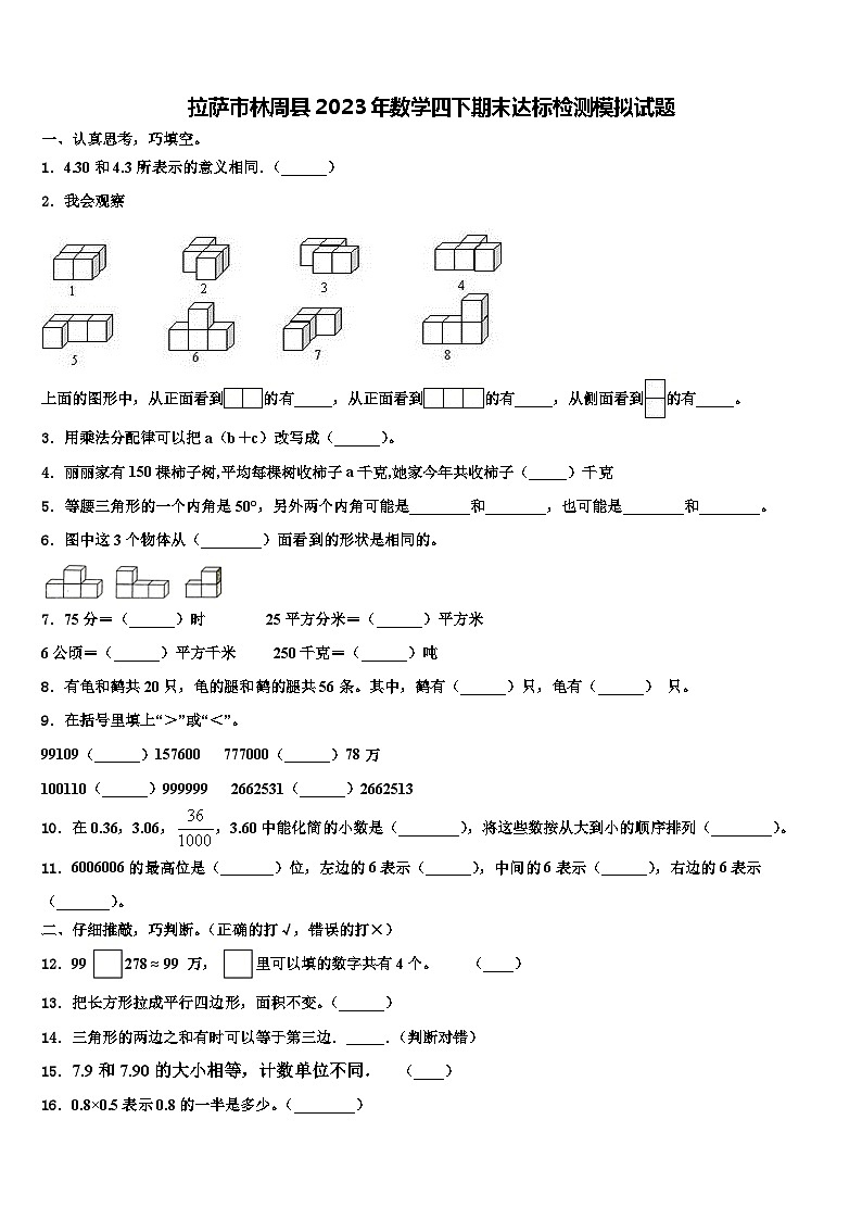 拉萨市林周县2023年数学四下期末达标检测模拟试题含解析01