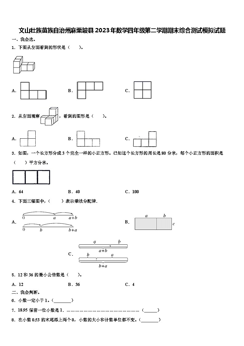 文山壮族苗族自治州麻栗坡县2023年数学四年级第二学期期末综合测试模拟试题含解析第1页
