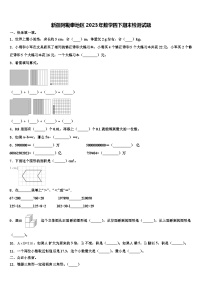 新疆阿勒泰地区2023年数学四下期末检测试题含解析